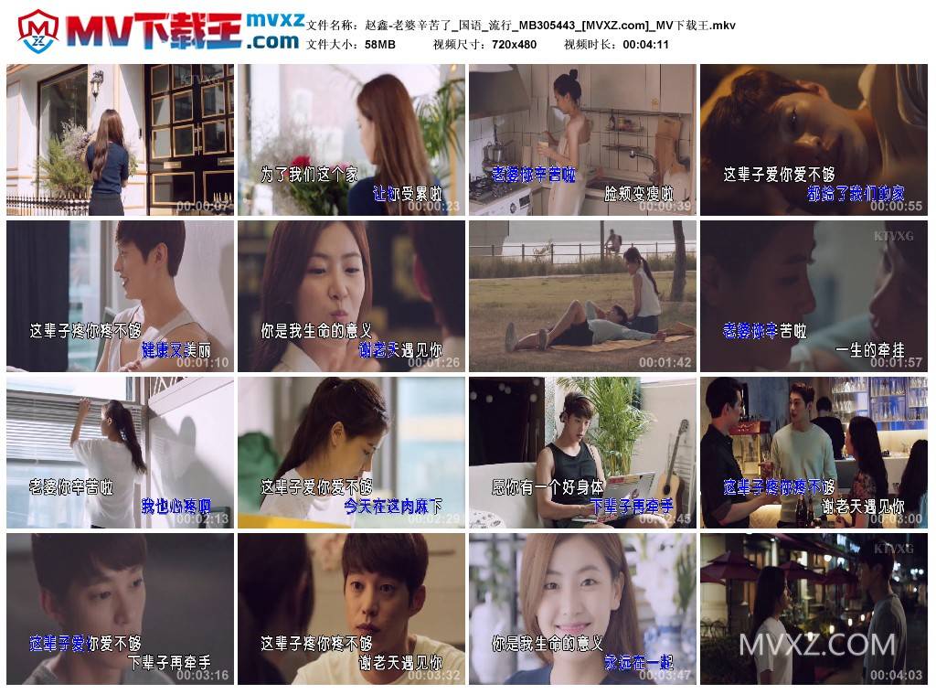 赵鑫-老婆辛苦了_国语_流行_MB305443